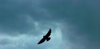 Θέλω, λυτρωτά μου, να σωθώ…