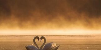 Η αγάπη έχει μέσα της πόνο κι οδύνη μα έχει και Ανάσταση