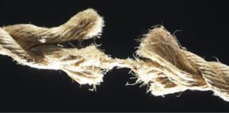 Εσύ τι θα κάνεις ;