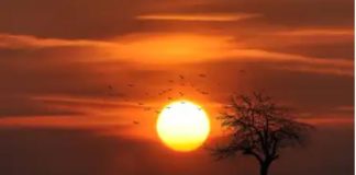 Αυτό που ακολουθείς, σου δίδει αυτούς τους καρπούς;