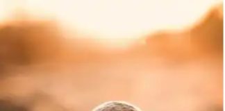 Δώσε μου αυτό το ΚΑΤΙ που υπάρχει μέσα σου..