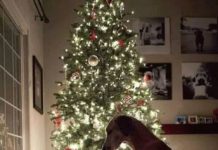 Ώρα για παραμύθι