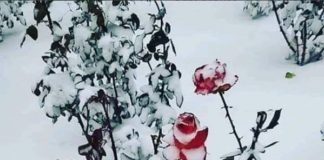 Ποιός λοιπόν ἐρευνώντας θά βρεῖ μιά τέτοια γέννηση;