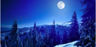 Διήγημα: Τα Χριστούγεννα του κυρ – Θοδωρή