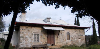 Μου άνοιξε ο Γέροντας και με έβαλε μέσα γρήγορα. «Σε περίμενα», μου είπε. Εγώ φυσικά δεν τον είχα ενημερώσει