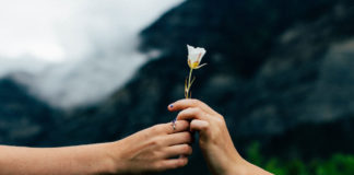 Ευγένεια ψυχής