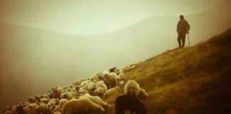 Το κλειστό παράθυρο και η αγάπη Του Θεού