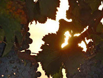 Μάθε το «μυστικό» της πνευματικής ζωής: να ελέγχεις τους λογισμούς σου