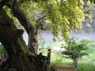 «Ποιά εἶναι ἡ ὠφέλεια ἀπό τήν ἐγκράτεια καί ποιά ἡ ζημιά ἀπό τήν ἔλλειψη ἐγκράτειας. Πῶς καταστρέφει τό πολύ κρασί.»