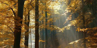 Την ελπίδα της σωτηρίας ποτέ μη χάνης και να βοάς προς τον Θεόν και να κλαις