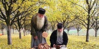 Να μην καταρασθείς εκείνον που σε λύπησε, αλλά να αφήσεις τον Θεό να βγάλει Εκείνος την απόφαση