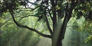 Ο Θεός είναι μακρόθυμος και πολυέλεος απέναντί σου. Αυτό το διαπιστώνεις, πολλές φορές την ημέρα. Γι’ αυτό πρέπει νσα είσαι και εσύ μακρόθυμος και εύσπλαχνος στους αδελφούς σου