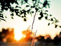 Όταν ζητάς από τον Θεό υπομονή