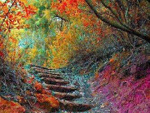 Ακούγεται η λέξη θάνατος, και η καρδιά όλων σπαρταράει από το φόβο