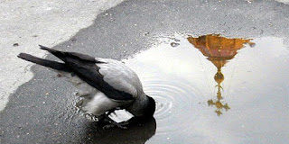 Ποτέ μην ξεχνάς ότι είσαι μικρός Θεός μέσα στην λάσπη