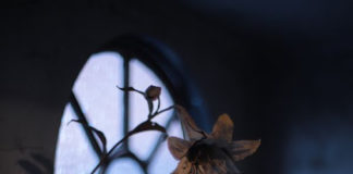 Η Ομολογία της Πίστεως