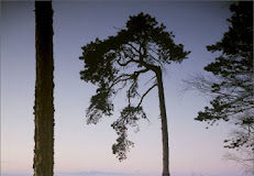 Η πρόνοια του Θεού για τον Μοναχό ο οποίος έμεινε άσιτος για εφτά ημέρες λόγω κακοκαιρίας