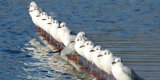 Παρατηρῆστε, ὅταν θελήσουν νά μᾶς ἀλλάξουν κάποια συνήθειά μας, κάποια σκέψη μας, κάποια γνώση μας, πῶς ἀμέσως ἀντιδρᾶμε