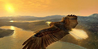 Σήκω. Ζήσε. Πάλεψε.. η ψυχή, φτιάχτηκε για να πετάει…