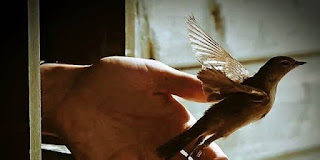 Τό νά εἶσαι δοῦλος Κυρίου εἶναι ἡ μόνη ἐλευθερία που ἀξίζει γιά τόν ἄνθρωπο καί ἡ μόνη ἀληθινή