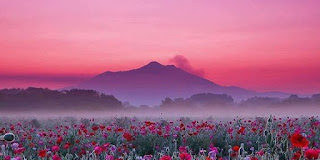 Όσοι επιθυμούν να μάθουν το θέλημα του Κυρίου …