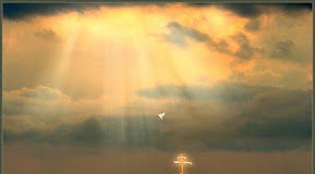 Διάκριση στους αρχαρίους είναι η ορθή επίγνωση του εαυτού τους