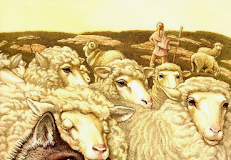 Έχουμε ως απολογία των αμαρτιών μας τις παραβάσεις των άλλων