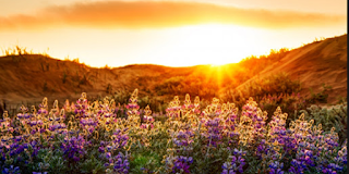 Μεριμνώντας ο Θεός για τη δική μας αδυναμία …