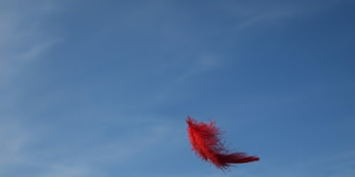 Διδακτική ιστορία: Τα λόγια που λες τα παίρνει ο διάβολος…