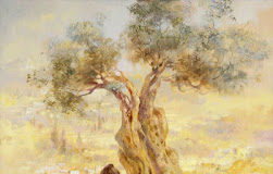 Μή κρίνετε, ἵνα μή κριθῆτε