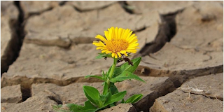 «Τρία πράγματα θα πεις στον άνθρωπο, που δεν γνωρίζει τον Θεό…»