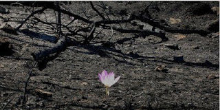 Για τον λόγο που ο Θεός γνωρίζει, σε δοκιμάζει