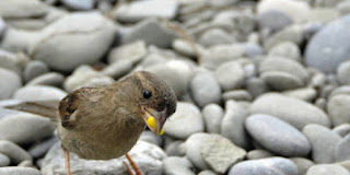 Δίνουν την ορθή κατεύθυνση