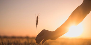 «Να μην κρατάς κακία, να έχεις απλότητα»