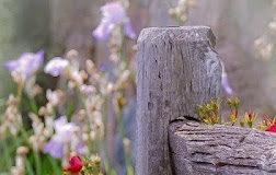 Πέρασα τέσσερις φάσεις για να βρω την πραγματική ευτυχία!