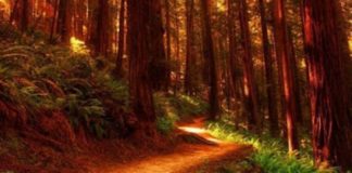 Ασθενεί το σώμα, ασθενεί και η ψυχή