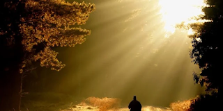 Απολαύστε την πνευματική ζωή! Δεν υπάρχει τίποτε γλυκύτερο απ’ αυτήν