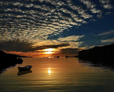 347391988_1717831498741114_4962707992978101274_n