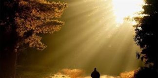 Οι προφητείες δεν σώζουν