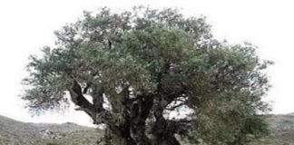 Ποια είναι η απόδειξη, ότι κάποιος έχει αγάπη;