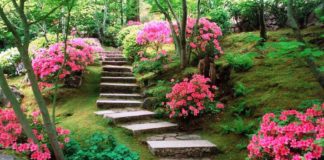 Ο κήπος πού δεν έχει φράχτη, ποδοπατιέται…