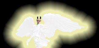 Επαφή με τα πεπτωκότα πνεύματα