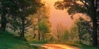 Συγκλονιστική εμπειρία κορυφαίου επιστήμονα: Κι όμως υπάρχει ζωή μετά τον θάνατο