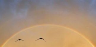 Τρία πράγματα που φυλάσσουν τις αρετές