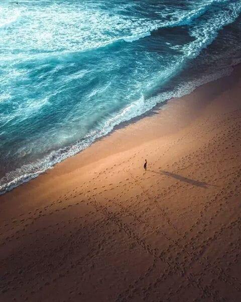 102559892_2921764671210333_1989050683931754496_n