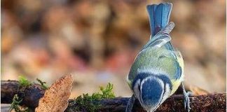 Αδελφέ στο χέρι σου είναι να κερδίσεις τη συμπάθεια του Κριτού