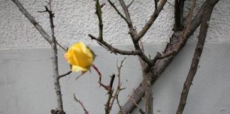 Πιο ακίνδυνο είναι να αστειεύεστε με τη φωτιά παρά με τον Θεό