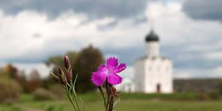 Ελπιδοφόρα απελπισία