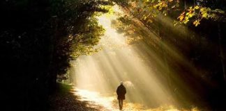 Κανένα μονοπάτι όμως δεν έχει νόημα εάν αυτά που μαθαίνουμε δεν τα εφαρμόζουμε στην πράξη