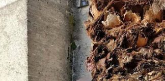 «Η δράση και η βράση»